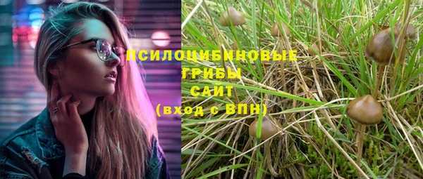 ГАЛЛЮЦИНОГЕННЫЕ ГРИБЫ Дмитровск