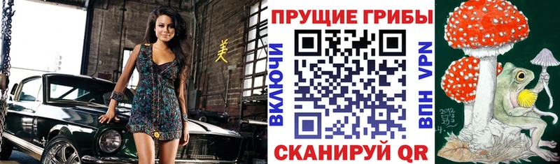 Псилоцибиновые грибы MAGIC MUSHROOMS  Пересвет 